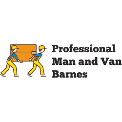 Logo of Professional Man and Van Barnes